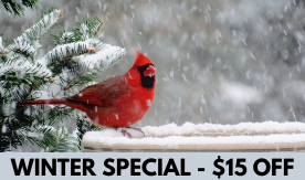 WINTER SPECIAL - $15 OFF