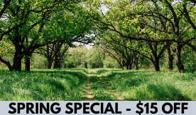 SPRING SPECIAL - $15 OFF